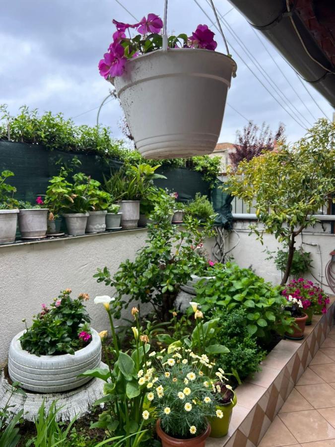 Goni Guest House ساراندا المظهر الخارجي الصورة
